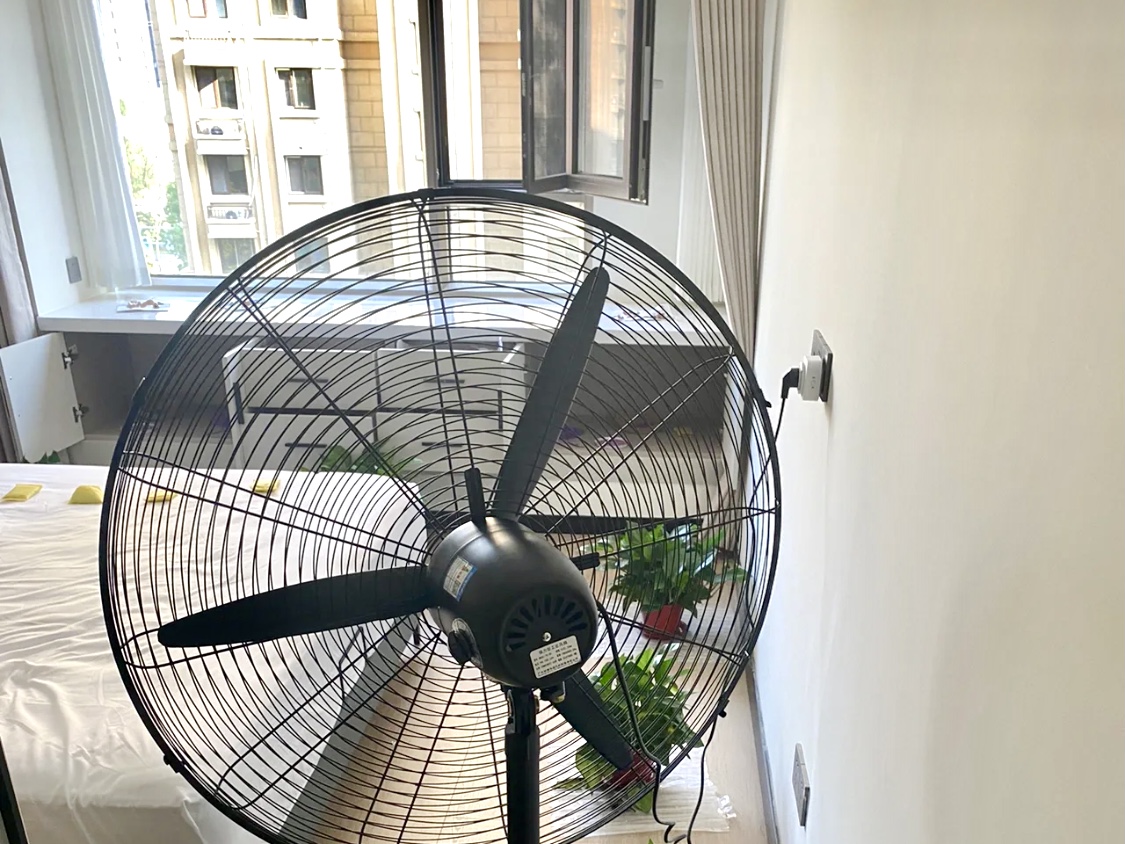 通风绿植除甲醛